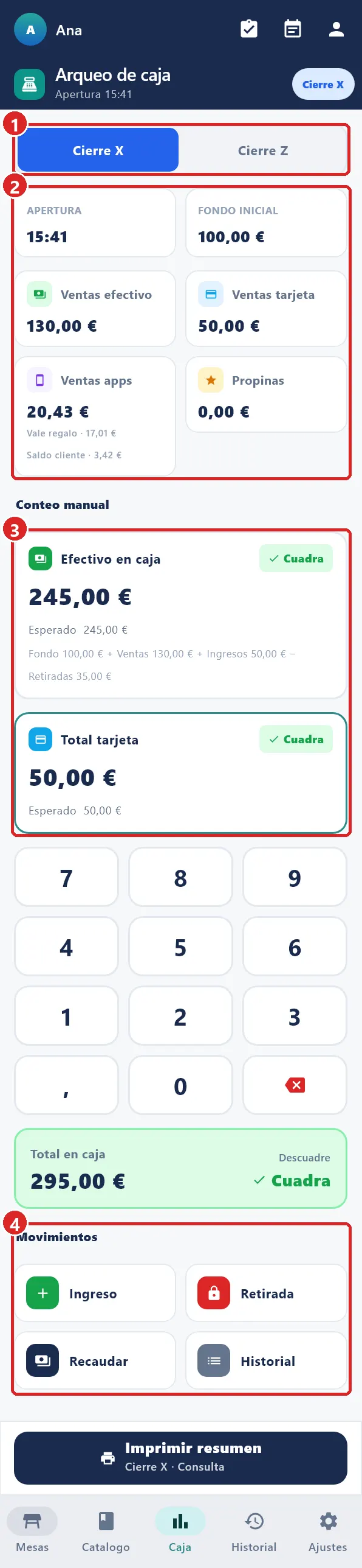 Pantalla Arqueo de caja.