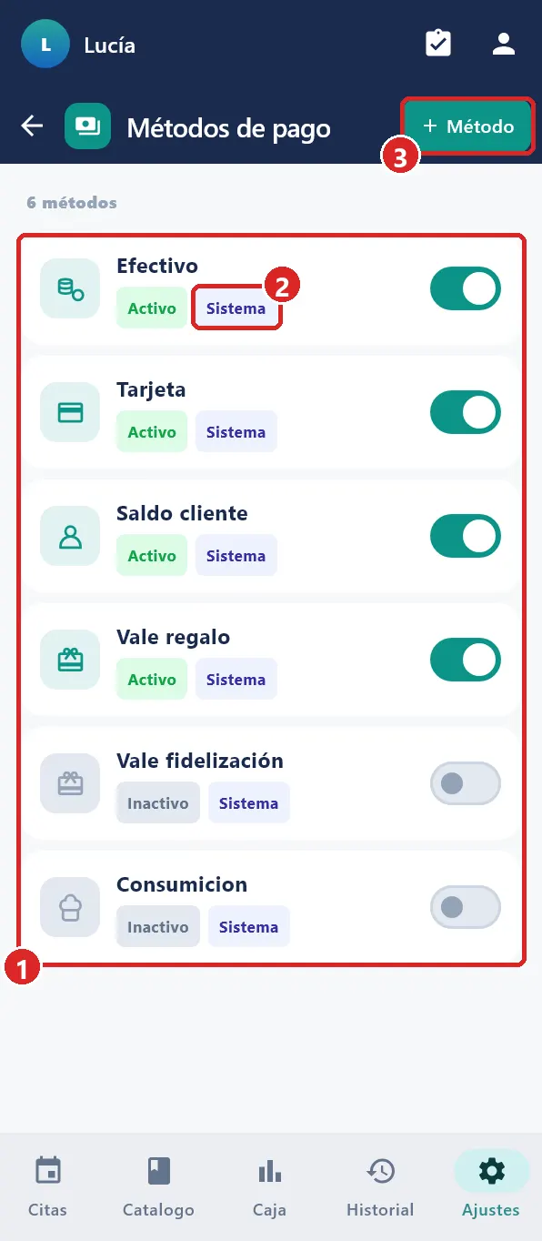 Ajustes › Métodos de pago.